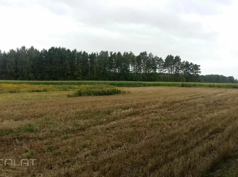 Land  Vetras, Latvia