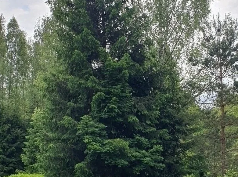 Działki  Degucie, Litwa