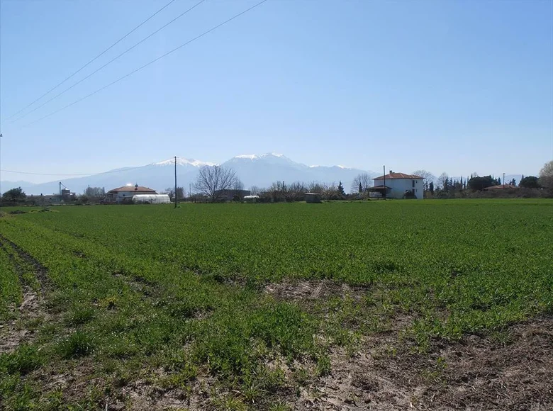 Land 1 room 4 000 m² Nea Chrani, Greece