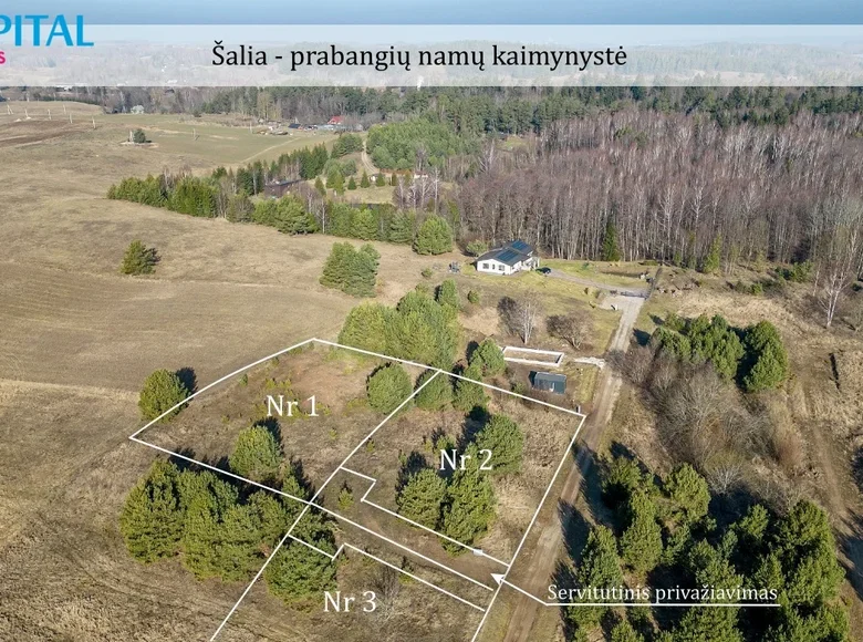 Działki  Drozdówka, Litwa