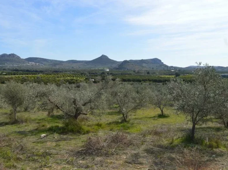 Działki 5 980 m² Peloponnese Region, Grecja