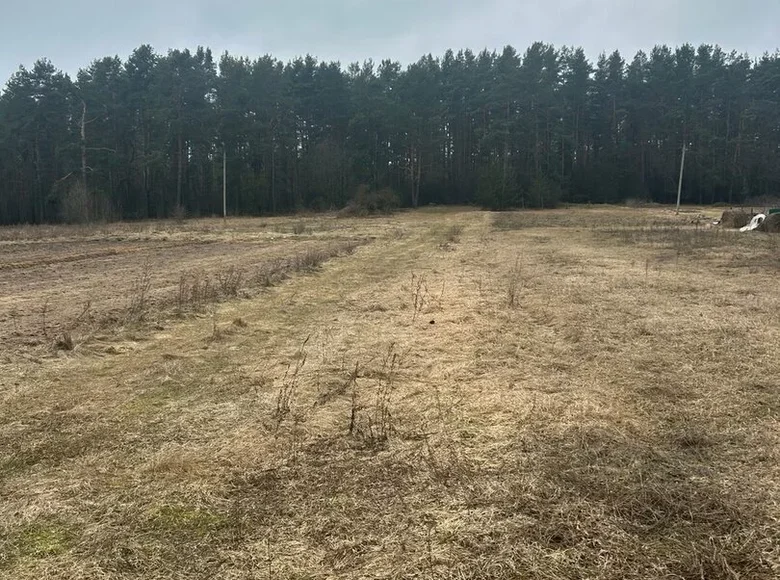 House  Hlivin, Belarus