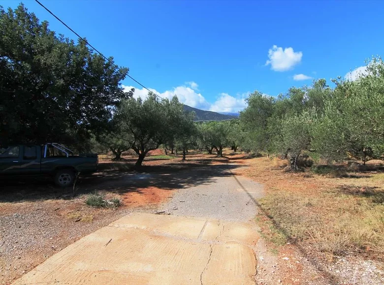 Grundstück 1 Zimmer 7 800 m² Agios Nikolaos, Griechenland