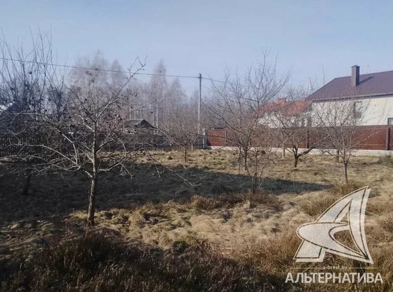 Land  Muchaviecki sielski Saviet, Belarus