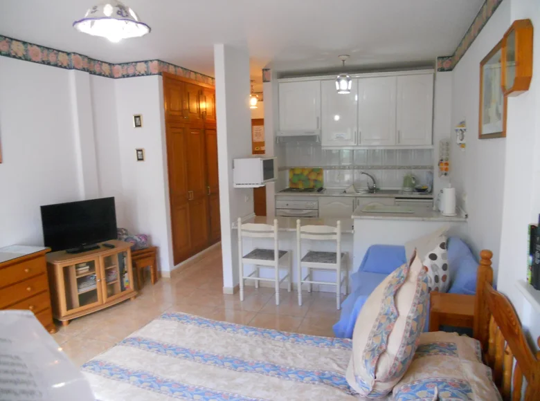 Apartamento 1 habitacion 35 m² Adeje, España