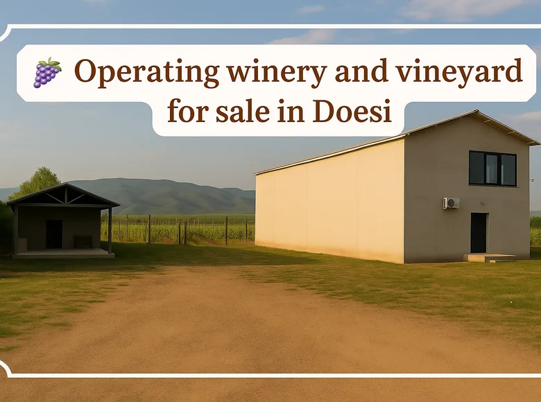 🍇 For Sale – Operating Winery and Vineyard