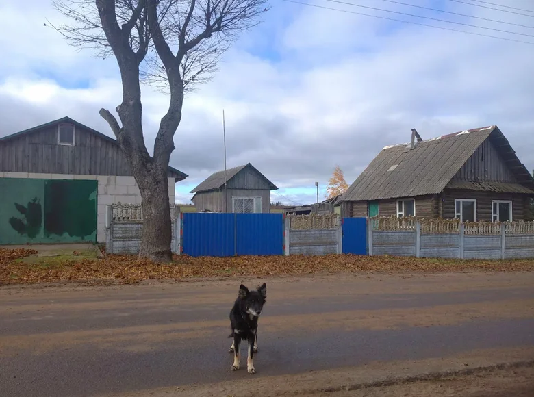 Дом 31 м² Пекалинский сельский Совет, Беларусь