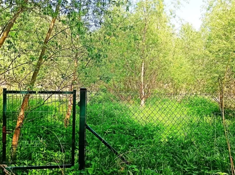 Atterrir 1 438 m² Pniewo, Pologne