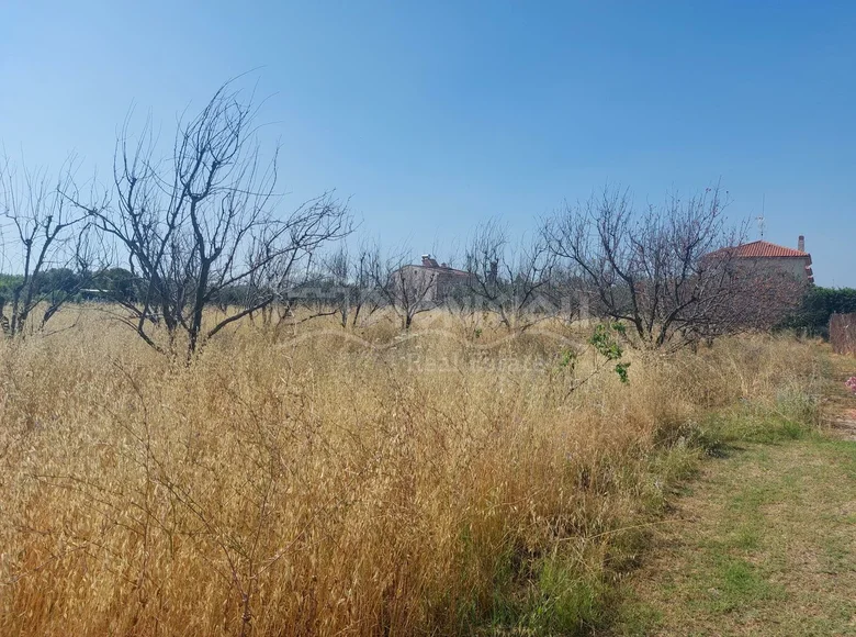 Działki 2 000 m² Dionisiou Beach, Grecja