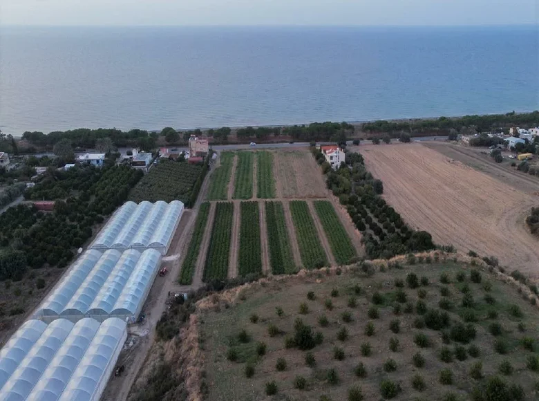 Commercial property 21 410 m² in Polis, Cyprus