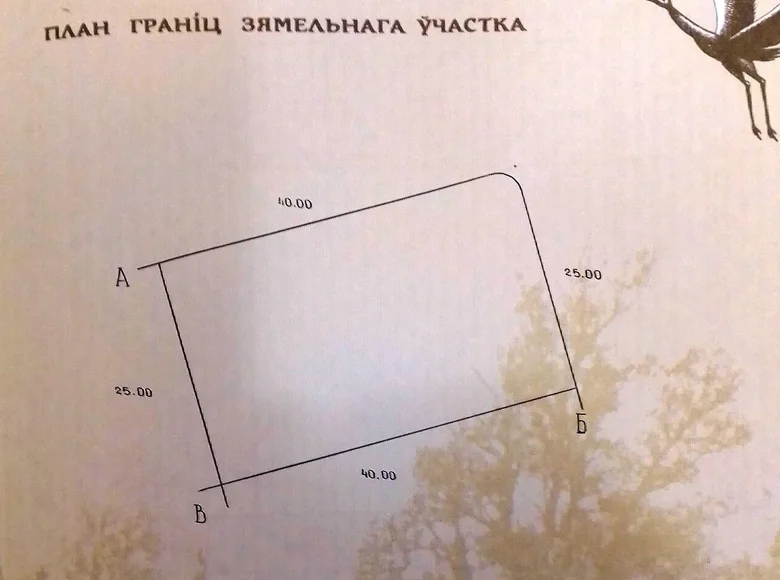 Działki  Dziescanski siel ski Saviet, Białoruś