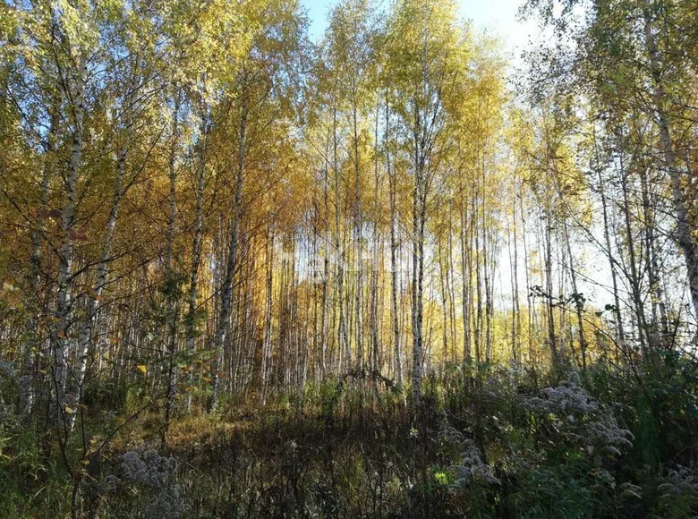 Grundstück 1 200 m² gorodskoy okrug Bor, Russland