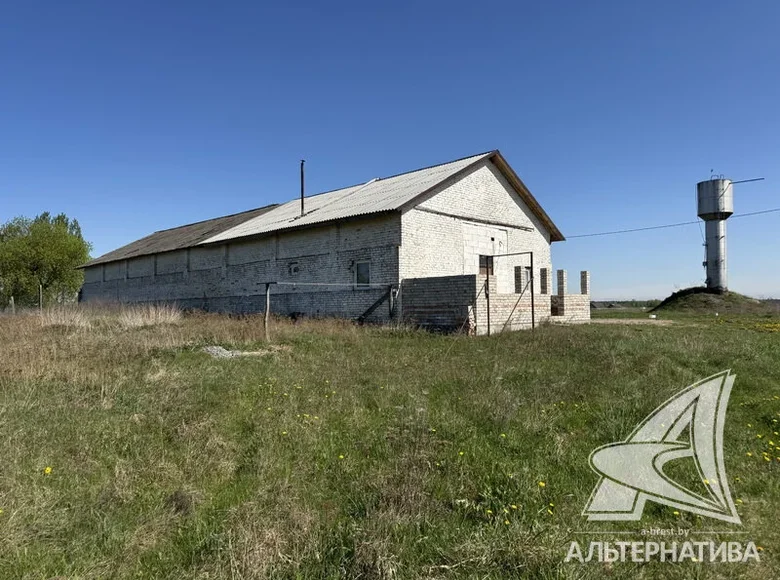 Commercial property 1 838 m² in Hidrynski selski Savet, Belarus