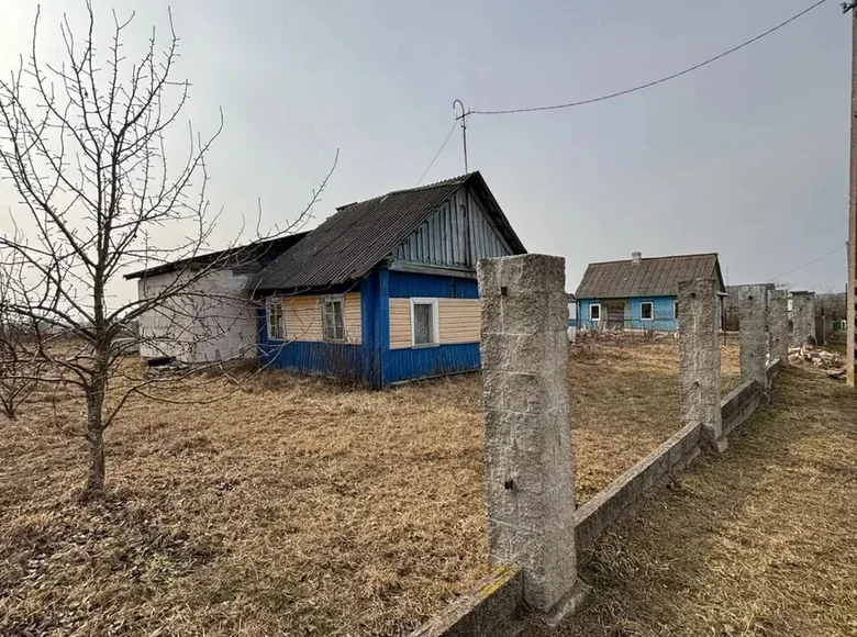 Haus 33 m² Tonava, Belarus