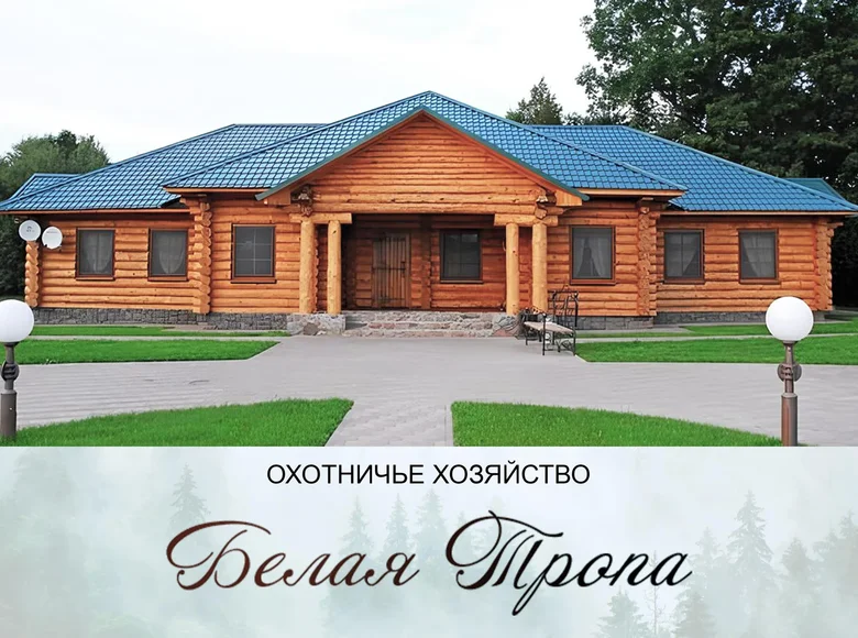 Commercial property 295 m² in Kurylavicki sielski Saviet, Belarus