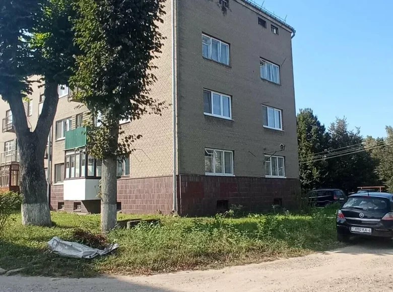 Apartamento 2 habitaciones 51 m² Slonim, Bielorrusia