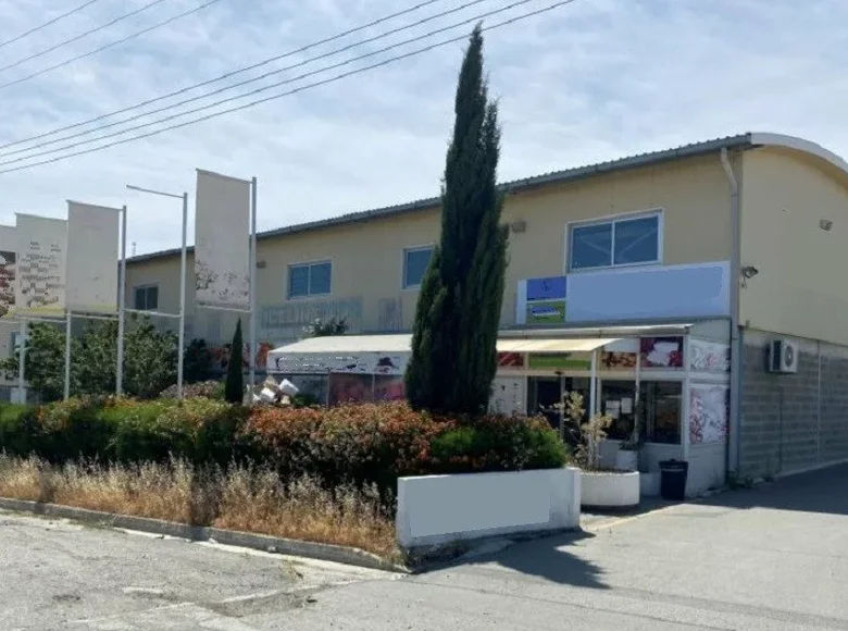 Magazyn 1 863 m² Dali, Cyprus