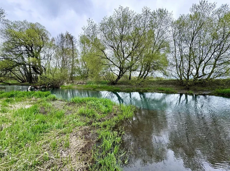 Maison 42 m² Aziaryckaslabadski sielski Saviet, Biélorussie