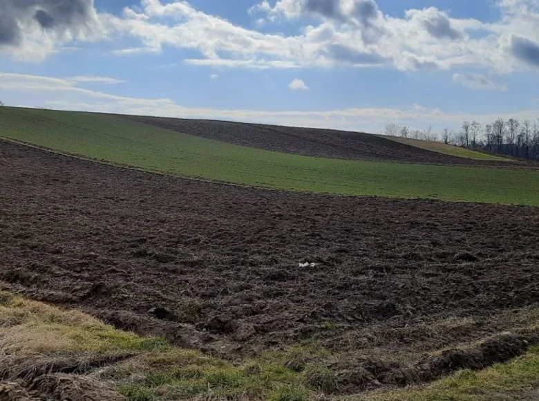 Działki 7 285 m² Kraków, Polska