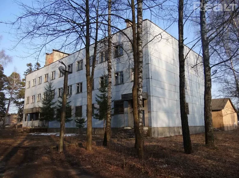 Sklep 2 450 m² Pleszczenice, Białoruś