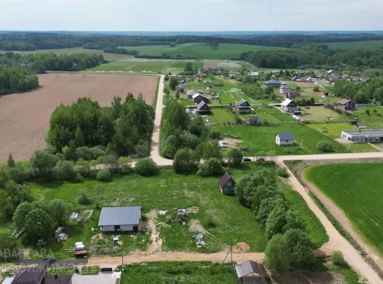 Haus  Piatryskauski siel ski Saviet, Weißrussland