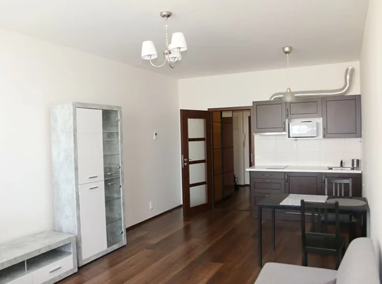 Mieszkanie 2 pokoi 33 m² Praga, Czechy