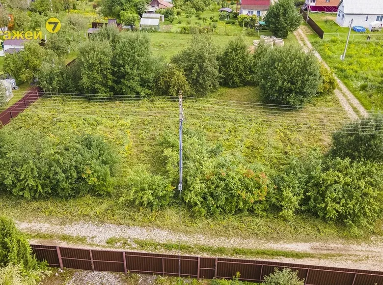 Dom  Dziamidavicki siel ski Saviet, Białoruś