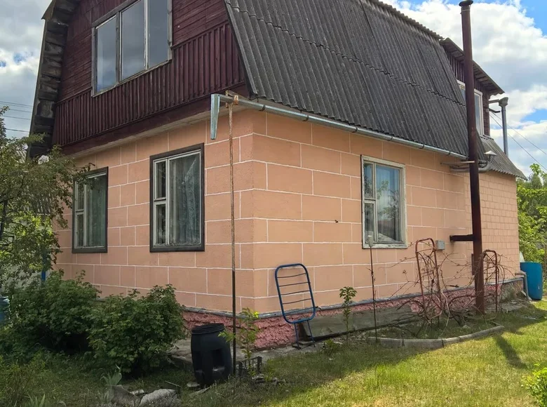 Haus 44 m² Zhunski sielski Saviet, Belarus