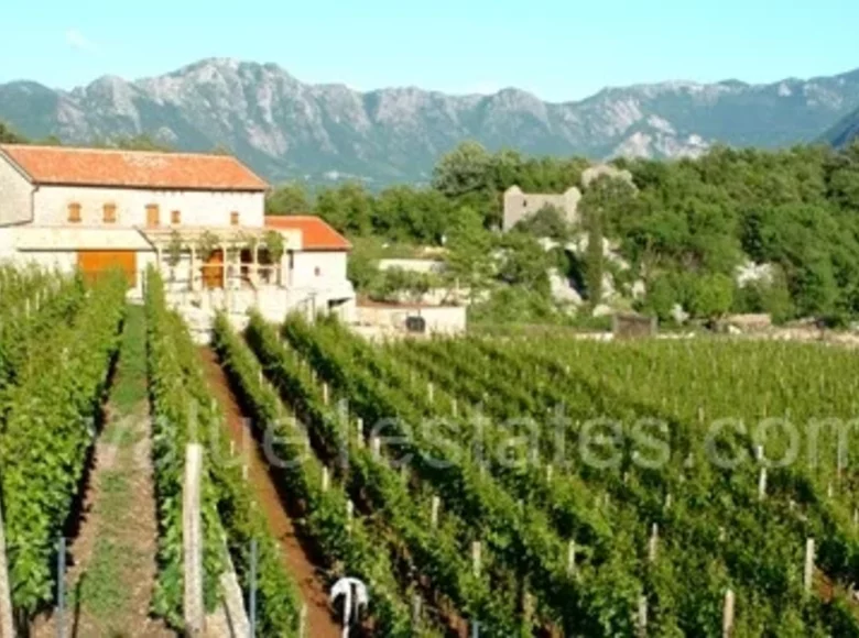 Villa 700 m² Golubovci City Municipality, Montenegro