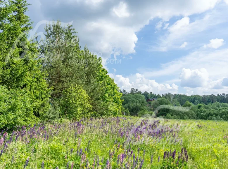 Działki  poselenie Krasnopahorskoe, Rosja