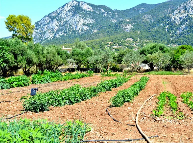 Земельные участки 1 комната  Municipality of Loutraki and Agioi Theodoroi, Греция