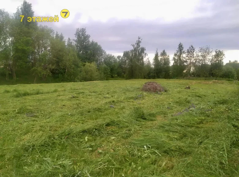 Land  Dziamidavicki sielski Saviet, Belarus