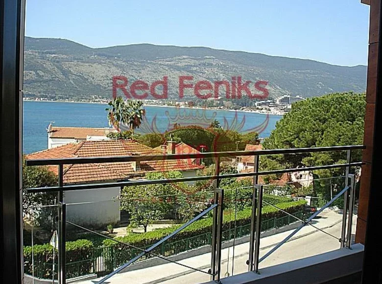 1 bedroom apartment  Topla, Montenegro