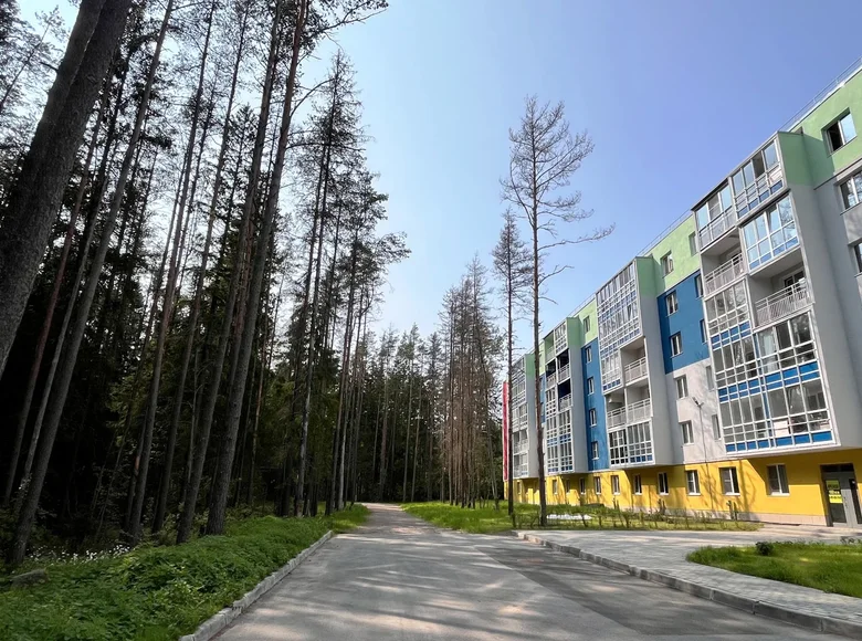 Apartment 29 m² Zelenogorsk, Russia