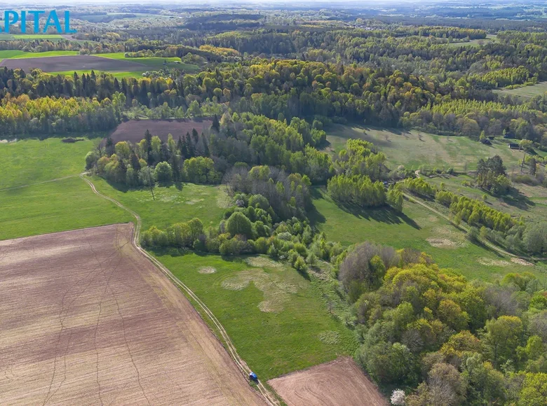 Działki  Szyrwinty, Litwa