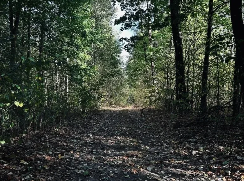 Land  Trakiniai, Lithuania