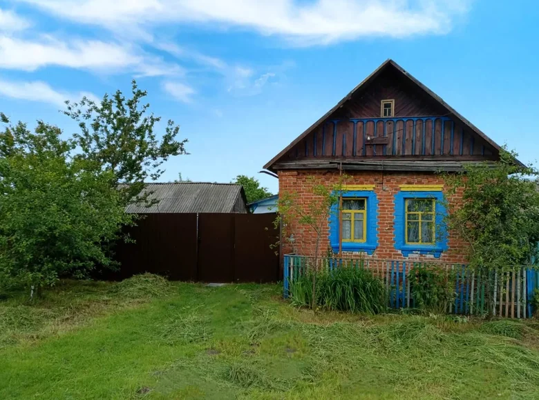 Haus 56 m² Usochabudski sielski Saviet, Belarus