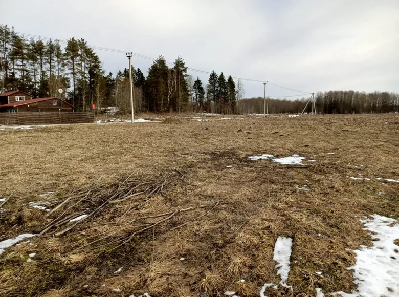 Land  Syaskelevskoe selskoe poselenie, Russia