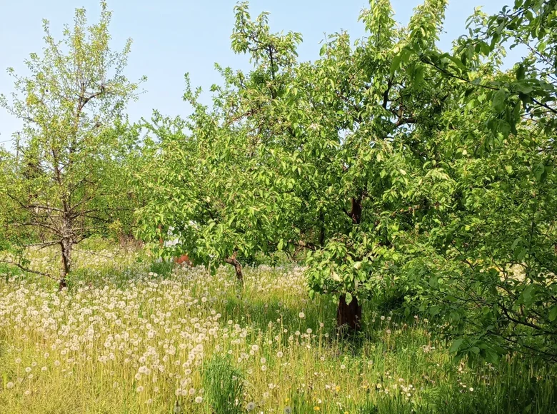 Land  Anninskoe gorodskoe poselenie, Russia