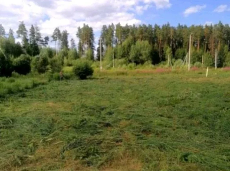 Дом  Заболотский сельский Совет, Беларусь