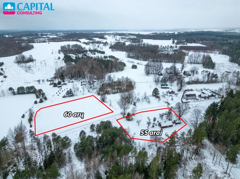 Dom 64 m² Krzyżówka I, Litwa