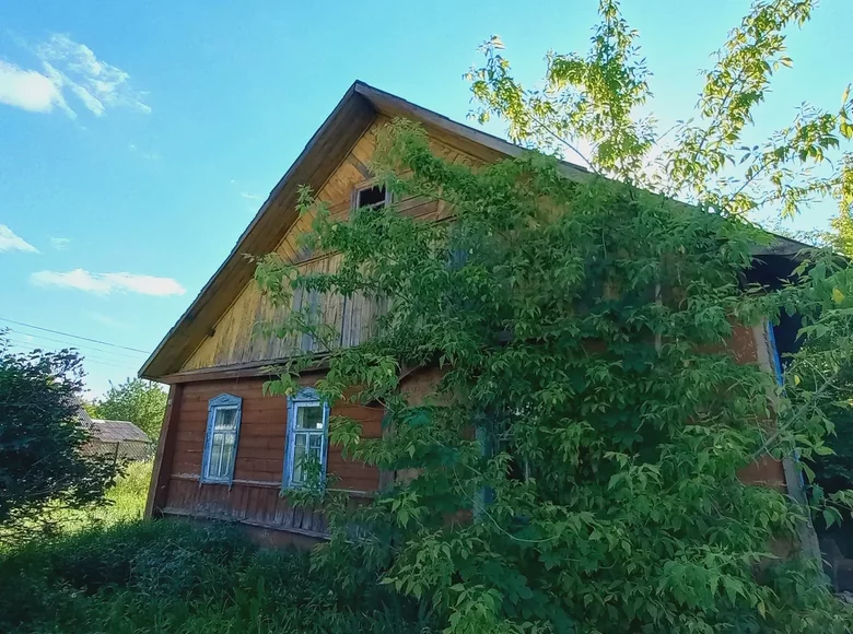 Haus 45 m² Mahiljou, Weißrussland