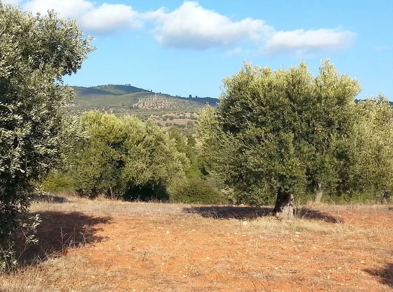 Atterrir 1 chambre  Nikiti, Grèce