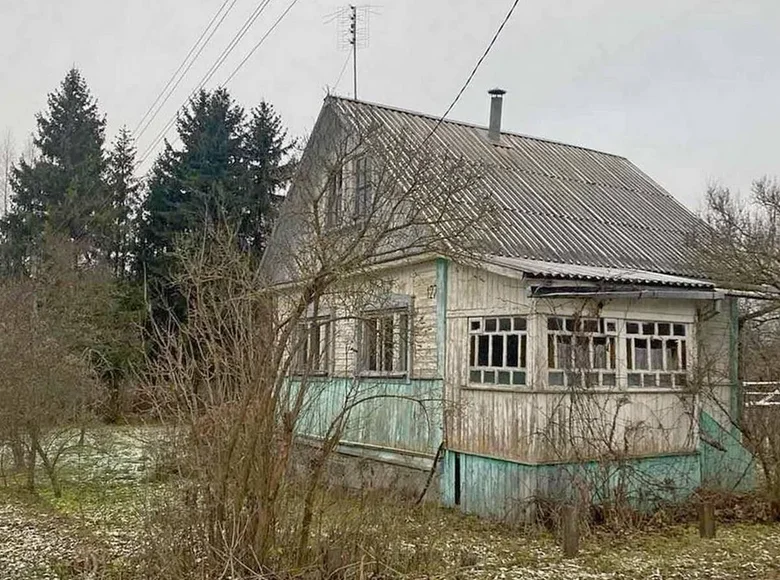 Haus 93 m² Rakauski siel ski Saviet, Weißrussland