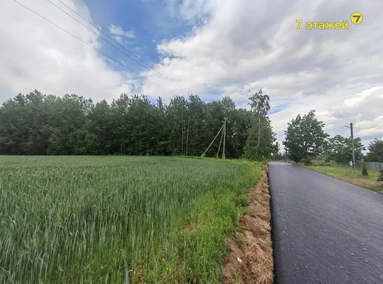 Maison 240 m² Patryskauski selski Savet, Bélarus