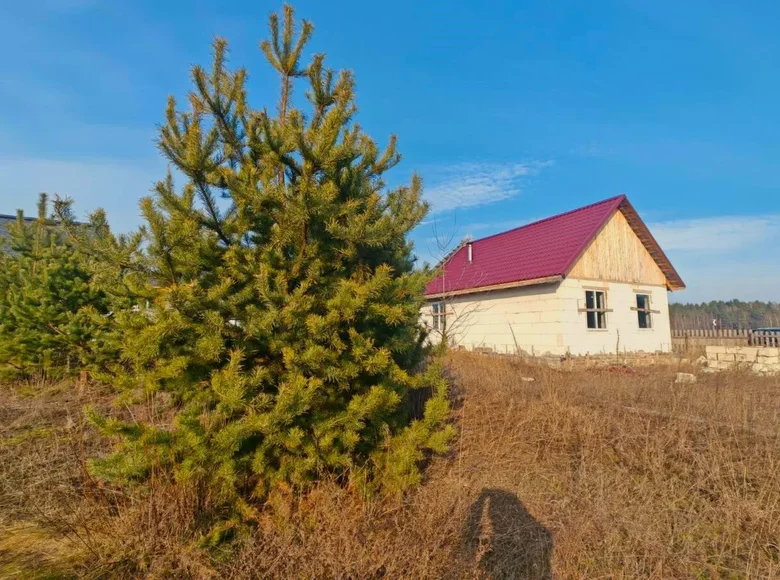 House 50 m² Hara, Belarus