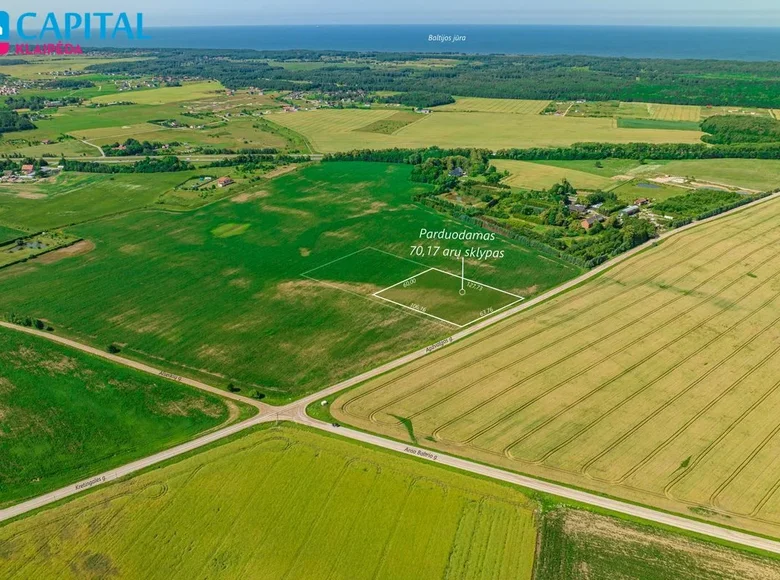 Land  Bruzdeilynas, Lithuania