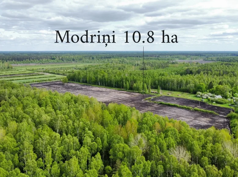 Land 108 000 m² Kalniski, Latvia