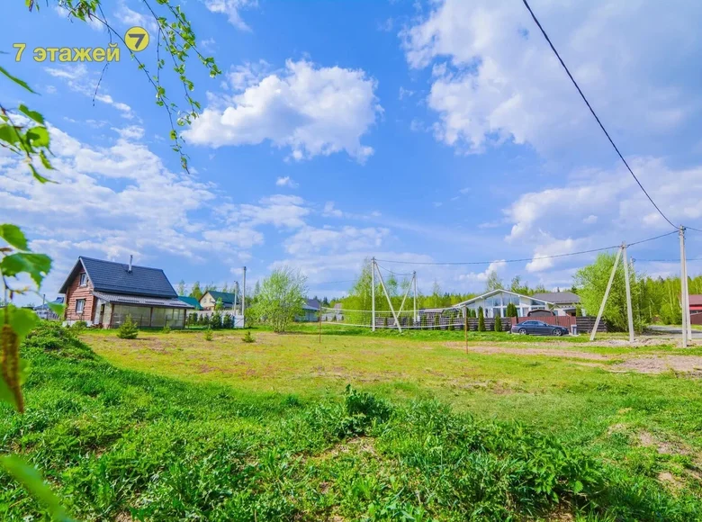 Land  Lahojsk selsaviet, Belarus