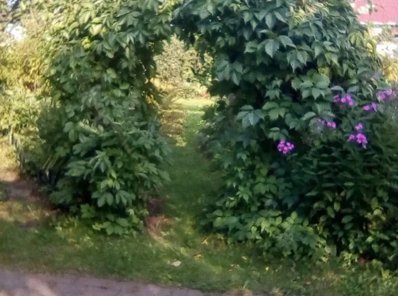 Parcelas  Anninskoe gorodskoe poselenie, Rusia